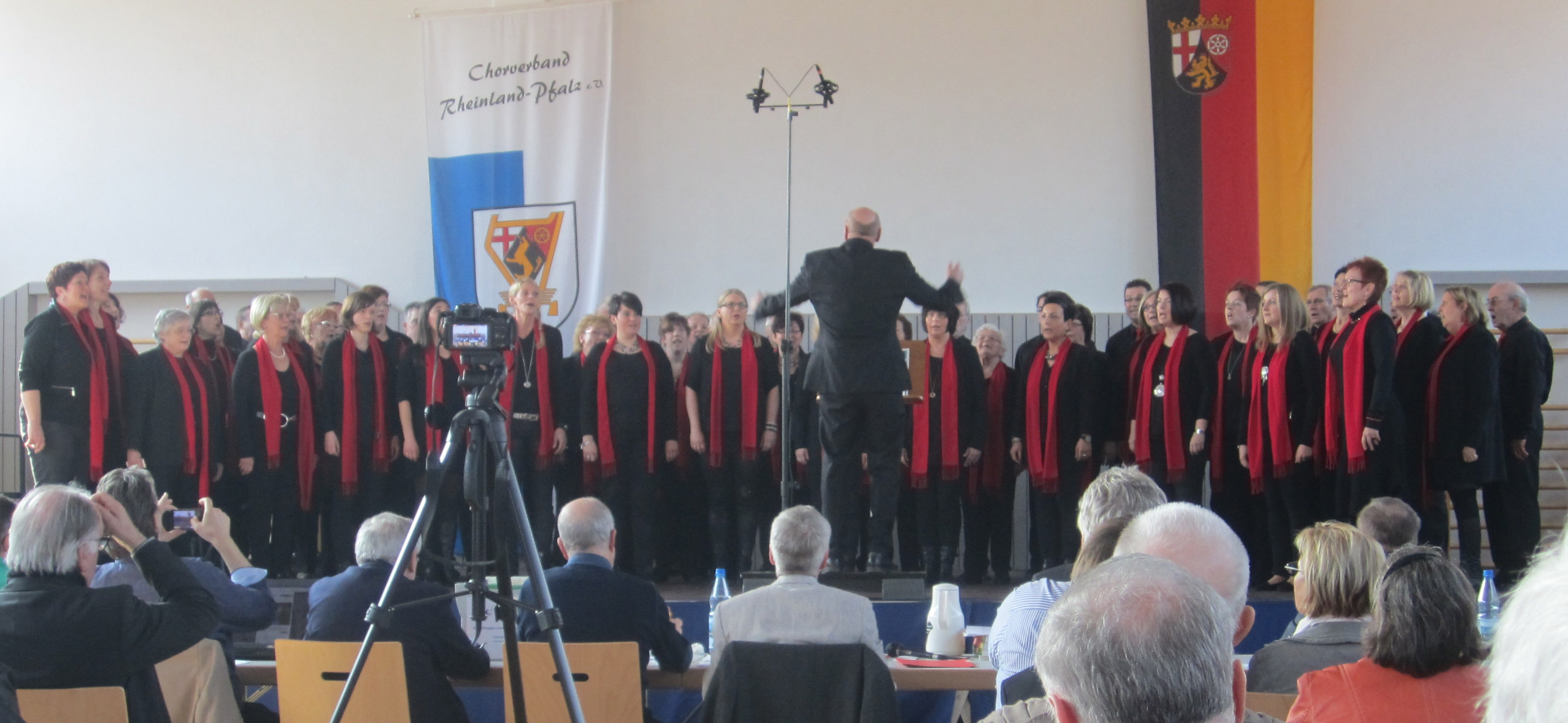 Großer Erfolg beim Leistungssingen der Stufe 2